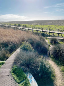 Lagoa dos Salgados nature reserve