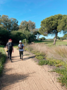Hiking in Parque Natural da Ria Formosa
