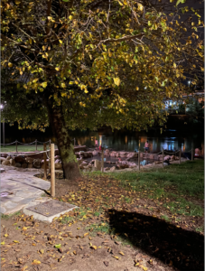 Ourense Thermal Springs Green Spain