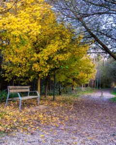 Vitoria-Gasteiz Park