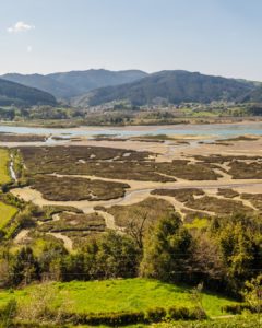 Urdaibai Biosphere Reserve