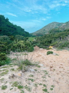 Praia da Figueira walk