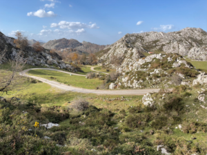 Picos de Europa Green Spain