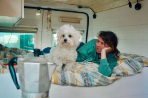 Travelling with Pets